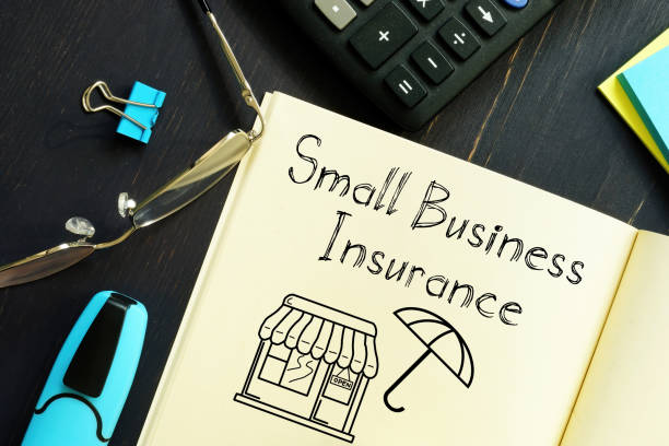 Cybersecurity insurance for sinsurancemall businesses